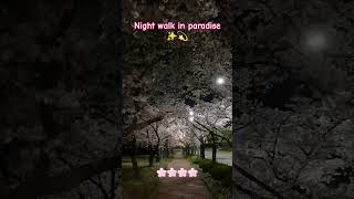 Night walk in paradise ✨️🌸 #nature #korea #yimmyyimmy #shorts