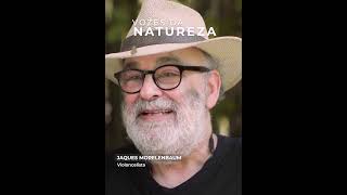 Vozes da Natureza - Depoimento Jaques Morelenbaum #shorts