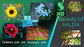 Haldia Township (Part-2) | Centenary & Vidyasagar Park