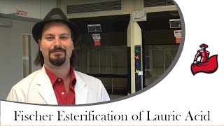 Fischer Esterification of Lauric acid