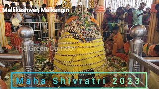 Mallikeshwar Shrine Malkangiri ll ମଲ୍ଲିକେଶ୍ବର ଶୈବ ପୀଠ ମାଲକାନଗିରି ll Maha Shivratri 2023