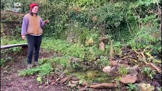 Update on our wildlife pond at Sharpham with Frances Tophill