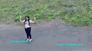 REBUTAN LANANG   DIAN ANIC 2016 Video Clip Original