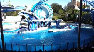 Blue Horizons Theatrical Animal Show @ Sea World Orlando (3)