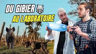 LE GIBIER EST PLUS SAIN QUE LA VIANDE INDUS ?