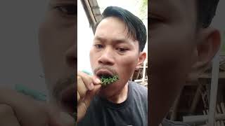 #shorts Makan melinjo muda #trending #tiktok