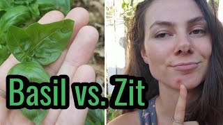 BASIL VS. ZIT! A POWERFUL ASTRINGENT.