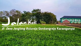 JALAN KAKI || Evening walk in the village Beautiful view of the rice fields