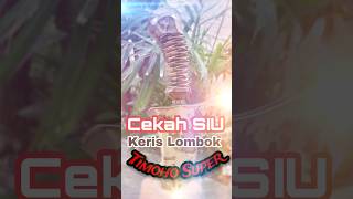 Hulu Keris Kayu Super Timoho, Keris Lombok #shorts