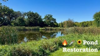 Pond Cleanup | Episode 1