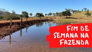 FIM DE SEMANA NA FAZENDA | GOIÁS