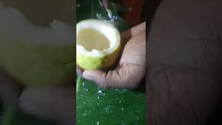 satisfy guava  make