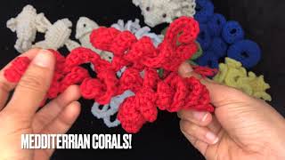 Crochet Corals!!