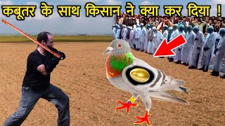 सोने के पर वाले कबूतर के साथ क्या किया देखें || Sone Ke Parr Vale Ajeeb Kabootar Ka Waqia