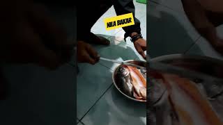 Bakar ikan nila #nilabakar #kampunghalaman #cikidang #kampung #kampunghalamanku #bakarikan #bakar