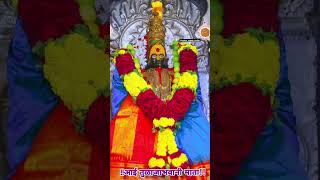 *शुक्रवार दि.२९/११/ २०२४ #tuljapur #viralvideo #marathi #video #bhakti #videos