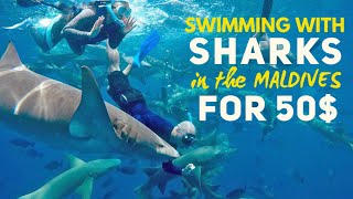 Maldives On A Budget | Shark Bay Excursion (Vlog)