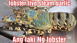 #Lobster live 1.3kg #steam with garlic yummy