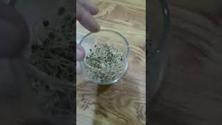 wheat sprouting test