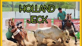 HOLLAND JECK (CAVALO SHOW!!)