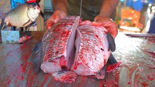 Amazing Cutting Skills | Big Rohu Fish Cleaning & Chopping By Expert Fish Cutter | Fish Cutting