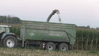 Die Raubkatze zurück im Mais   Claas Jaguar 970 mit Claas Orbis 750 beim Maishäckseln eine Fahrt von