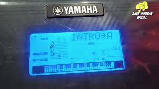 Ritmos para Yamaha psr-E453 | Tienda de ritmos y samples Avofc