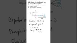 #NEETPG #BIOCHEMISTRY MCQS | Lung surfactants | Dipalmitoyl lecithin #neetpgmcq #neetpgpreperation