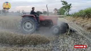 سات سو ایکڈ گندم جل گی Alghazi tractor 65 hp sarcet short mestac __(1080P_HD)