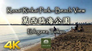 【4K】Kasai Rinkai Park (葛西臨海公園 ) - Beach View【1 Hour Beach Wave Sound】