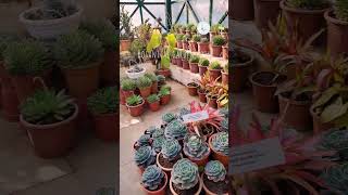 Botanical garden #ooty #flowers #garden #vaccation #travel #vlog #trending #visit #places #shorts