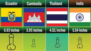 Avarage Penis Mesurment by Country