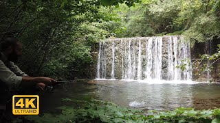 Spinning trota torrente - Il rio della pieve