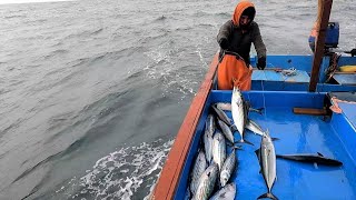 Mira que.. impresionante PESCA hacen estos HOMBRES en el Mar