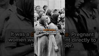 ‘’I Jewish Doctor at Auschwitz. Dr. Gesilla Parl's story.’’ #shorts #history #jewish #ww2 #doctor