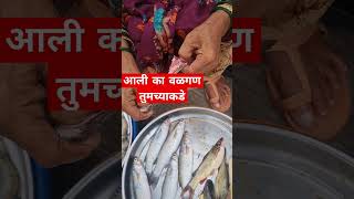 वळगण आली रे ...चिवणी #shorts #fish #viral #youtubeshorts #aagrikoli #foodie