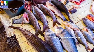 INDIA'S BIGGERT FISH MAKET | INDIAN FISH MARKET street food