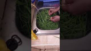 This Guy cook and eat grass