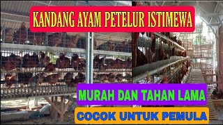 KANDANG AYAM PETELUR ISTIMEWA DAN MURAH DARI BAJA RINGAN COCOK UNTUK PEMULA