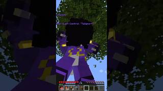 I added Star Platinum to Minecraft...