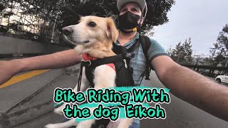 Bike riding with the dog Eikoh