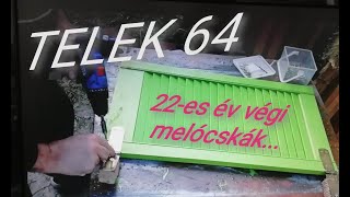 22 -es év végi melócskák..TELEK 64