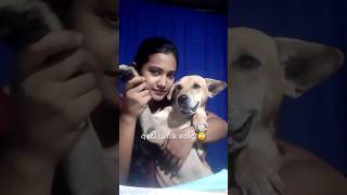 බල්ලොන්ට tiktok උගන්නන මං 😂 #shortsfeed #trending #viral #nimshi  #doglove