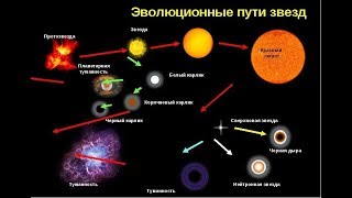 Сурдин В.Г. Модели протозвезд