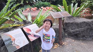 Jurong Bird Park 🦋🦋🦋 @  ~ Asia Lagest Bird Paradise