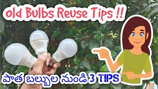 Empty Bulbs Reuse Idea | Diy | home Hacks | Diy Planter | Money Saving Tips