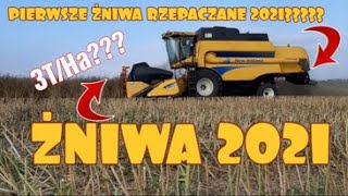 ☆PIERWSZE ŻNIWA RZEPACZANE??☆|ŻNIWA 2021|NEW HOLLAND CSX 7040