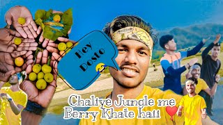 Let's Eat Berry in Jungle 😜 | Comedy Vlog | Neel Akash Vlogs