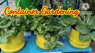 CONTAINER GARDENING