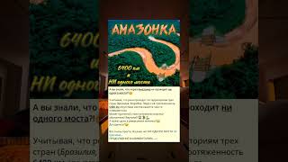 А вы знали, что через Амазонку не проходит ни одного моста?!🧐